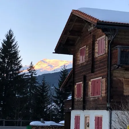 木屋 Sonniges Arosa Fuer 6 Pers Alleinstehend Mit Traumhaftem Bergpanorama Langwies