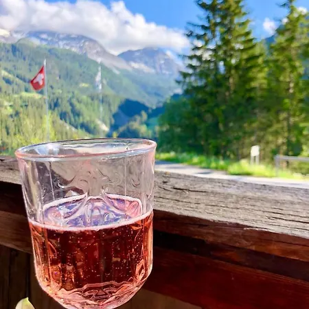 Sonniges Arosa Fuer 6 Pers Alleinstehend Mit Traumhaftem Bergpanorama 木屋 Langwies