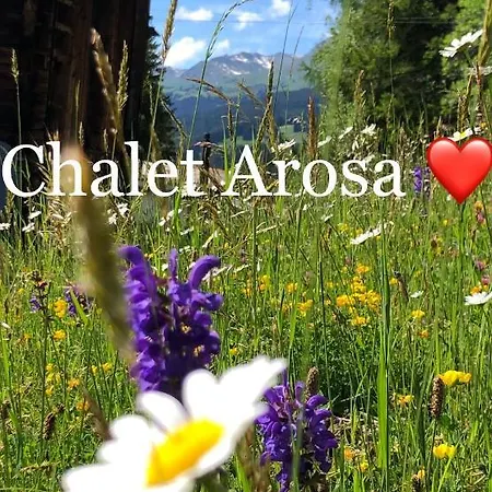 בקתה Sonniges Arosa Fuer 6 Pers Alleinstehend Mit Traumhaftem Bergpanorama