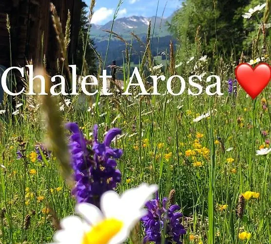 Chalet Sonniges Arosa Für 6 Pers Alleinstehend Mit Traumhaftem Bergpanorama